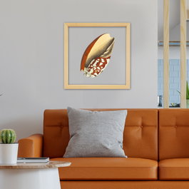 Wallity Cuadro Decorativo Enmarcado Multicolor 32 x 32 cm